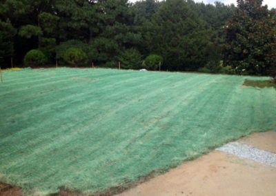 New grass installed by Browder-Hite