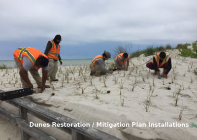 Dune restoration and mitigation by Browder-Hite