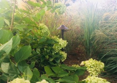 Plants and landscaping by Browder-Hite