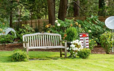 Awesome August Landscaping Tricks to Elevate Your Outdoor Space