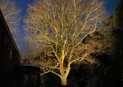 Yard Lighting in Eastern Shore, VA by Browder-Hite