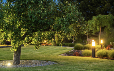 Illuminate Your Outdoor Oasis: The Benefits of Professional Landscape Lighting