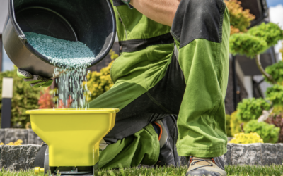 Unearth the Secret to a Thriving Lawn: The Benefits of Spreading Lime