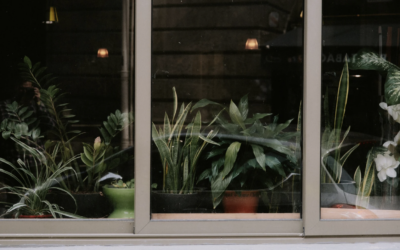 2025 Trends in Home Landscape Design: Fabrics, Textures, Materials, Plants, and Indoor-Outdoor Living
