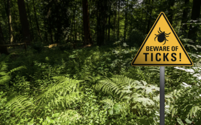 Professional Mosquito and Tick Misting Services on the Eastern Shore of Virginia