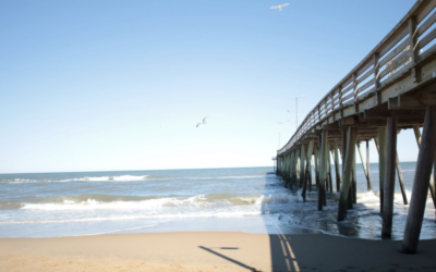 Planting a Sustainable Landscape in Coastal Virginia: Embracing Nature in Cape Charles, Onancock, Chincoteague, and Exmore