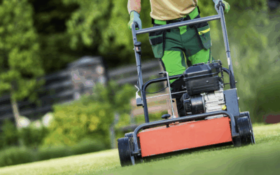 Breathe New Life Into Your Lawn: The Benefits of Lawn Aeration