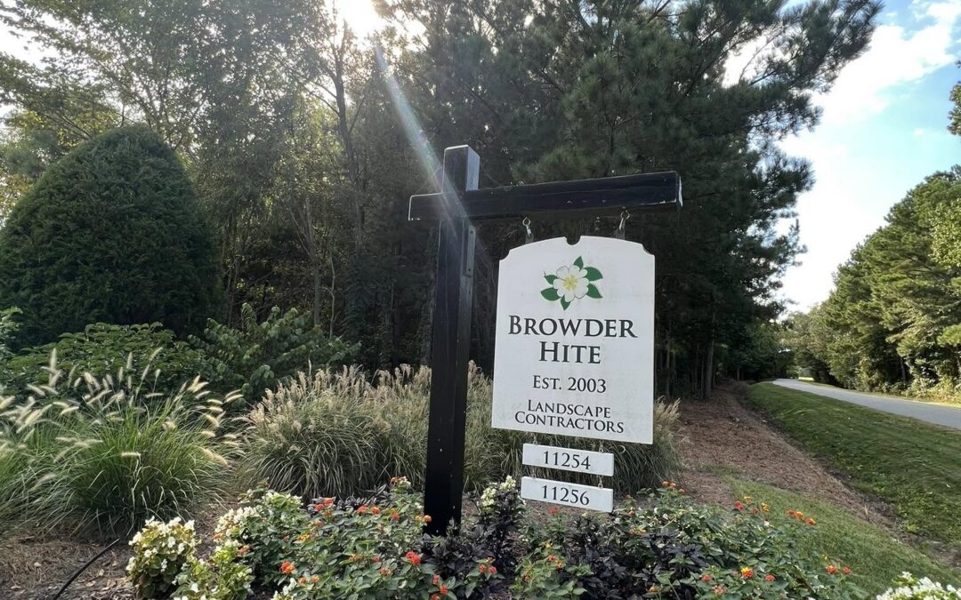 Tick Treatment in the Eastern Shore, VA