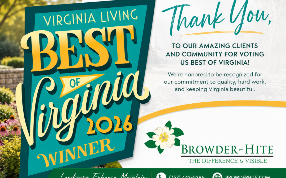 Best of Virginia Award 2026