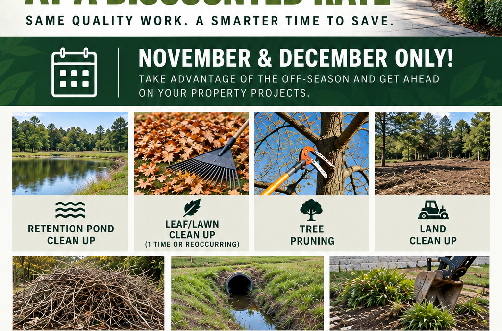 November & December Landscaping Services: Prepare Your Property for Winter